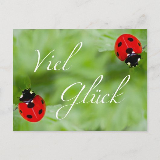 Carte Postale Viel Glück im Doppelpack ! (Devant)