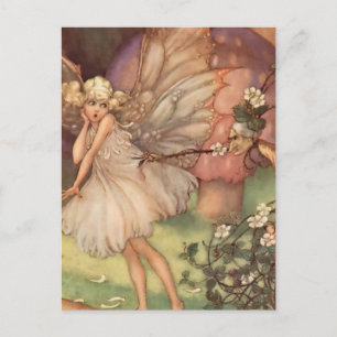 Carte Postale "Vielle mère Brousse" par Florence Anderson