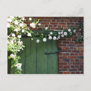 Carte Postale Vielle porte et rose