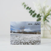 Carte Postale Vienne - Autriche (Debout devant)