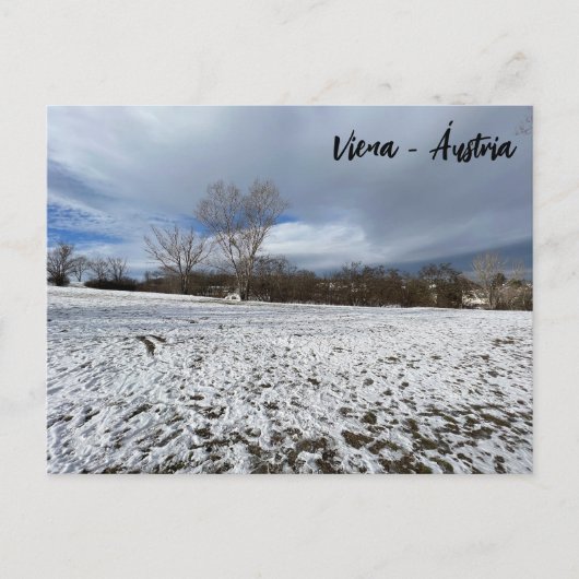 Carte Postale Vienne - Autriche (Devant)
