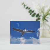 Carte Postale Viens Voler Avec Moi (Debout devant)