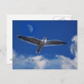 Carte Postale Viens Voler Avec Moi (Devant / Derrière)