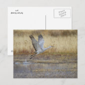 Carte Postale viens voler avec moi (Devant / Derrière)