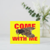 Carte Postale Viens Voler Avec Moi (Debout devant)