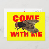 Carte Postale Viens Voler Avec Moi (Devant / Derrière)