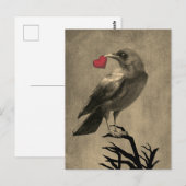 Carte postale vierge avec amour de corbeau (Devant / Derrière)