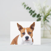 Carte postale vierge de chiot Pit Bull (Debout devant)