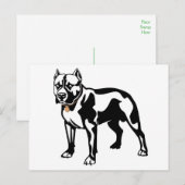 Carte postale vierge de chiot Pit Bull (Devant / Derrière)