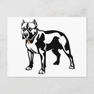 Carte postale vierge de chiot Pit Bull