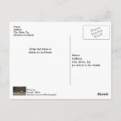 Carte postale vierge de la promenade matinale de l (Dos)