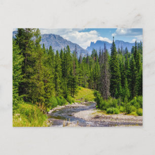 Carte postale vierge de North Fork Shoshone River
