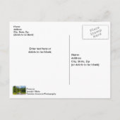 Carte postale vierge de North Fork Shoshone River (Dos)