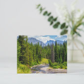 Carte postale vierge de North Fork Shoshone River (Debout devant)