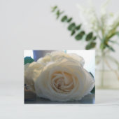 Carte postale vierge de série "Classic White" (Debout devant)