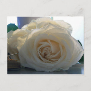 Carte postale vierge de série "Classic White"