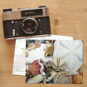 Carte postale vierge Deux dollars de sable