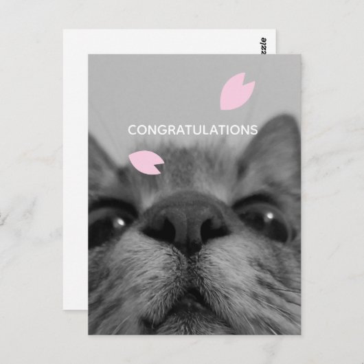 Carte postale vierge Félicitations (Devant / Derrière)