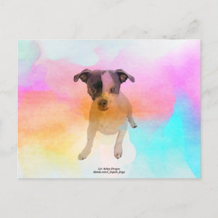 Carte postale vierge Gracie Disco