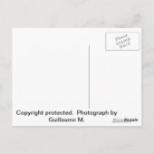 Carte Postale Vierge Marie (Dos)