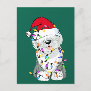 Carte Postale Vieux anglais Cheepdog Chien clair Décor Chien de