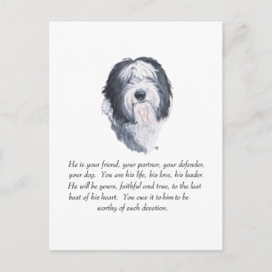 Carte Postale Vieux anglais Sheepdog Keepsaké - Homme