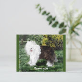 Carte Postale Vieux anglais Sheepdog Pet Merci (Debout devant)