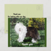 Carte Postale Vieux anglais Sheepdog Pet Merci (Devant / Derrière)