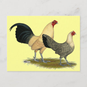 Carte Postale Vieux Boutons à la crème anglaise