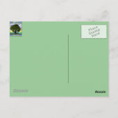 Carte postale Vieux chêne (Dos)