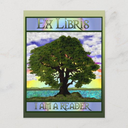 Carte postale Vieux chêne (Devant)