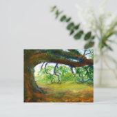 Carte Postale Vieux chêne énorme de la Louisiane (Debout devant)