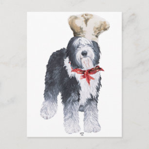 Carte Postale Vieux Chien de Berger Anglais Chef de l'Amour