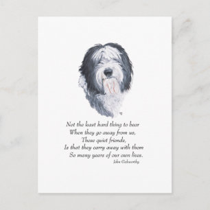 Carte Postale Vieux chien de berger anglais Rainbow Bridge