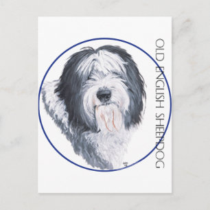 Carte Postale Vieux chien de berger anglais Rondelle