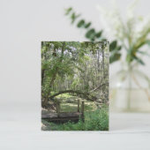 Carte postale - Vieux Floride (Debout devant)