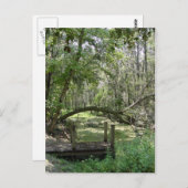 Carte postale - Vieux Floride (Devant / Derrière)