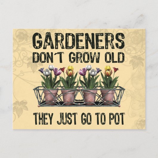 Carte Postale Vieux jardiniers (Devant)