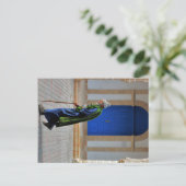 Carte Postale Vieux-Morrocan (Debout devant)