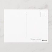 Carte Postale Vieux moulins à vent Olympos Karpathos, Grèce avec (Dos)