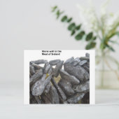 Carte Postale Vieux murs en pierre en Irlande (Debout devant)