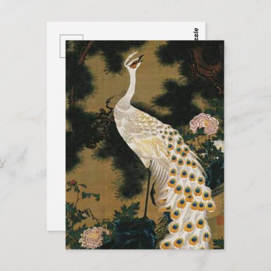 Carte Postale Vieux pin et paon par Ito Jakuchu (Devant / Derrière)