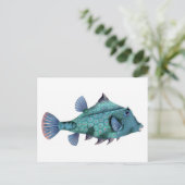 Carte Postale Vieux Poisson Bleu (Debout devant)