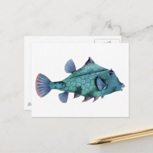 Carte Postale Vieux Poisson Bleu