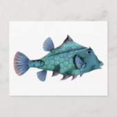 Carte Postale Vieux Poisson Bleu (Devant)