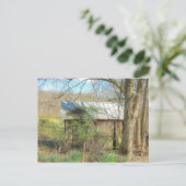 Carte Postale Vieux poulet coop (Debout devant)