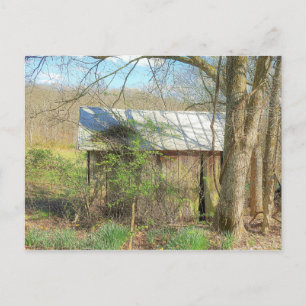 Carte Postale Vieux poulet coop