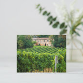 Carte Postale Vieux vignoble toscan et Villa (Debout devant)