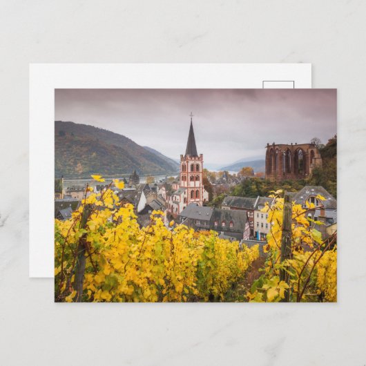 Carte Postale View d'Elevated | (Devant / Derrière)