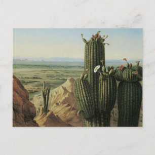 Carte Postale View from Maricopa Mountain Near Rio Gila by Pratt